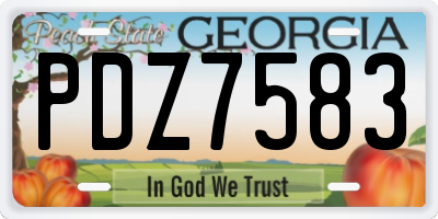 GA license plate PDZ7583