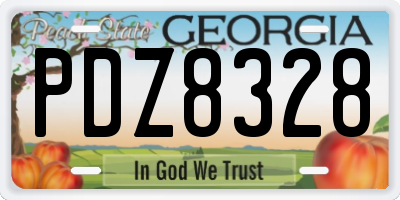 GA license plate PDZ8328