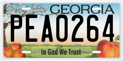 GA license plate PEA0264