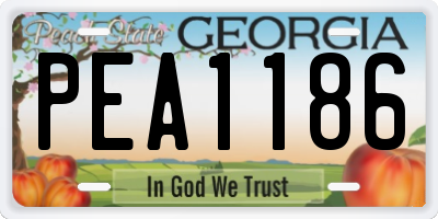 GA license plate PEA1186