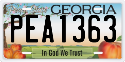 GA license plate PEA1363