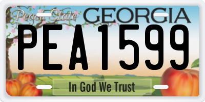 GA license plate PEA1599