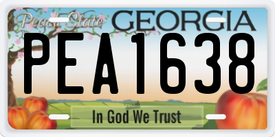 GA license plate PEA1638