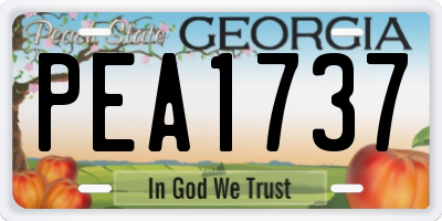 GA license plate PEA1737