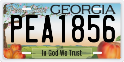GA license plate PEA1856