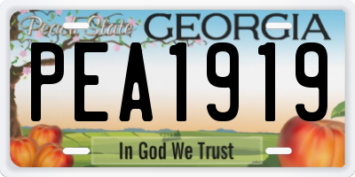 GA license plate PEA1919