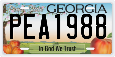 GA license plate PEA1988