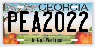 GA license plate PEA2022
