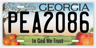 GA license plate PEA2086