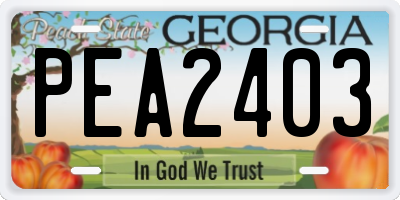 GA license plate PEA2403