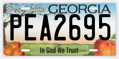 GA license plate PEA2695