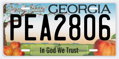 GA license plate PEA2806