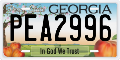 GA license plate PEA2996