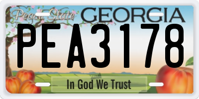 GA license plate PEA3178
