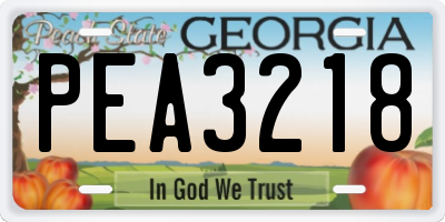 GA license plate PEA3218