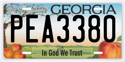 GA license plate PEA3380