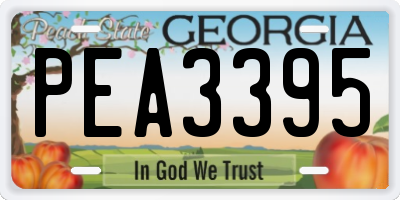 GA license plate PEA3395