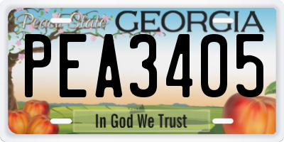 GA license plate PEA3405