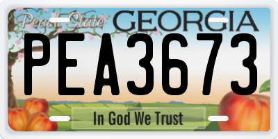 GA license plate PEA3673