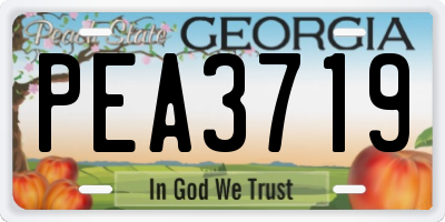 GA license plate PEA3719