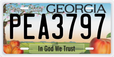 GA license plate PEA3797