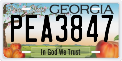 GA license plate PEA3847