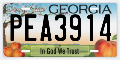 GA license plate PEA3914