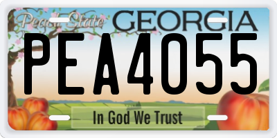 GA license plate PEA4055