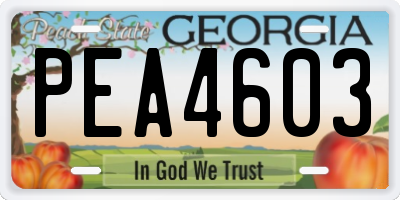GA license plate PEA4603