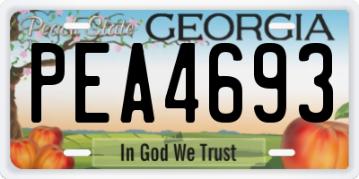 GA license plate PEA4693
