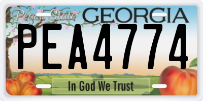 GA license plate PEA4774