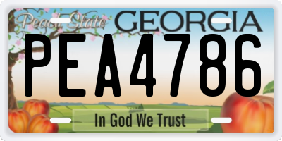 GA license plate PEA4786