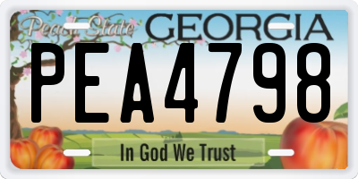 GA license plate PEA4798