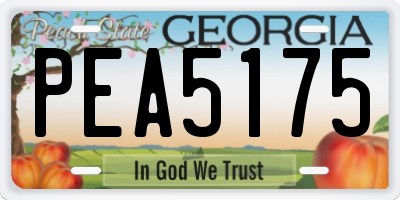 GA license plate PEA5175