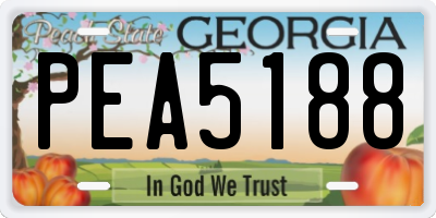 GA license plate PEA5188