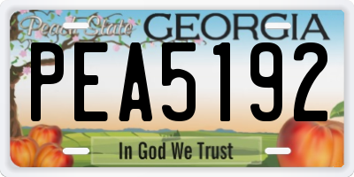 GA license plate PEA5192