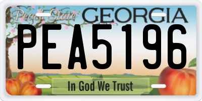 GA license plate PEA5196