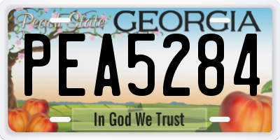GA license plate PEA5284