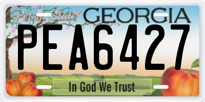 GA license plate PEA6427