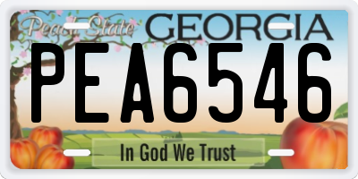GA license plate PEA6546