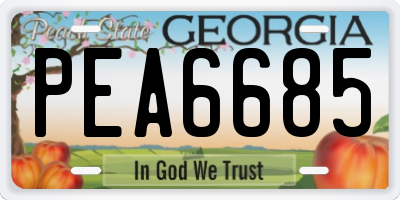 GA license plate PEA6685