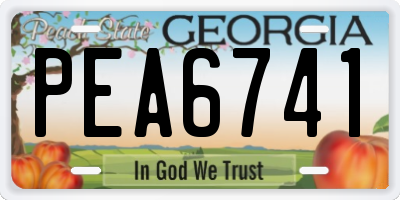 GA license plate PEA6741