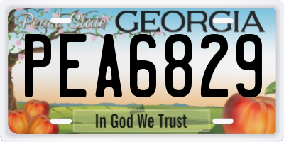 GA license plate PEA6829
