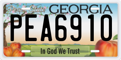 GA license plate PEA6910