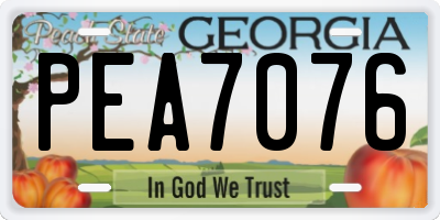 GA license plate PEA7076