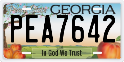 GA license plate PEA7642