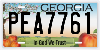 GA license plate PEA7761