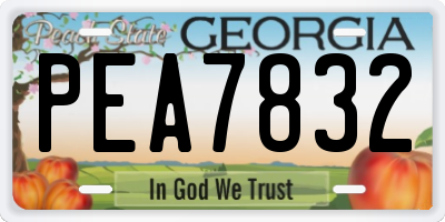 GA license plate PEA7832