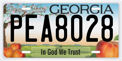 GA license plate PEA8028