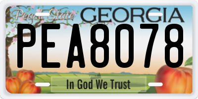 GA license plate PEA8078
